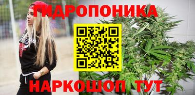 СК Рыбинск